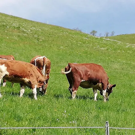 Lamplhof Bed & Breakfast